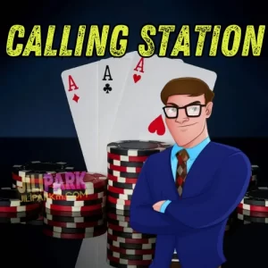 Strategies When Facing "Calling Station" Players