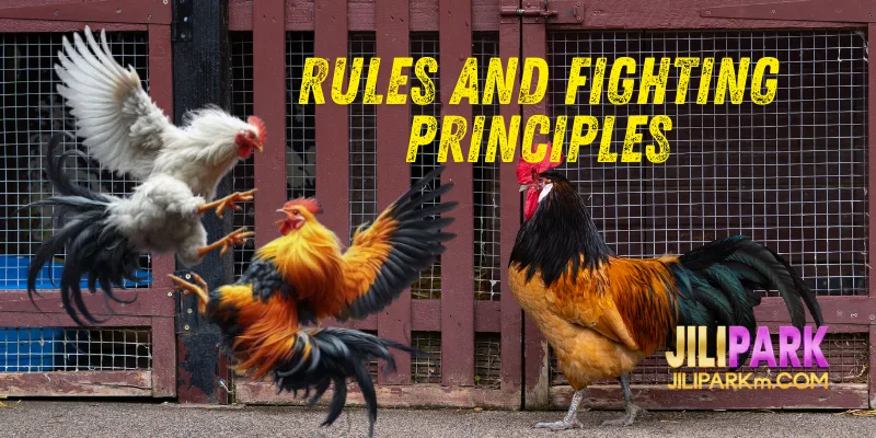 Rules and Fighting Principles