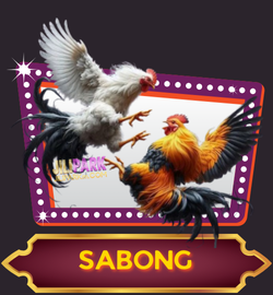 cockfighting