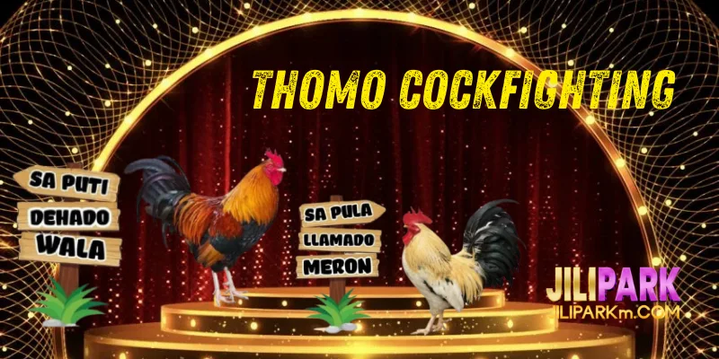 Thomo Cockfighting at Jilipark